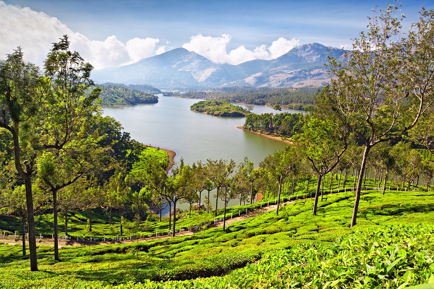 Munnar Honeymoon Tour Packages