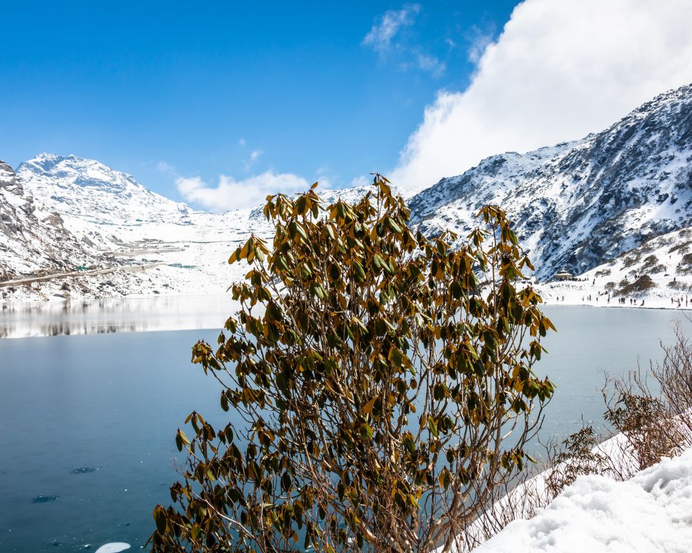Tsomgo Lake