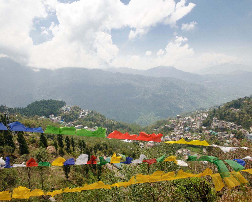 Tashi Viewpoint