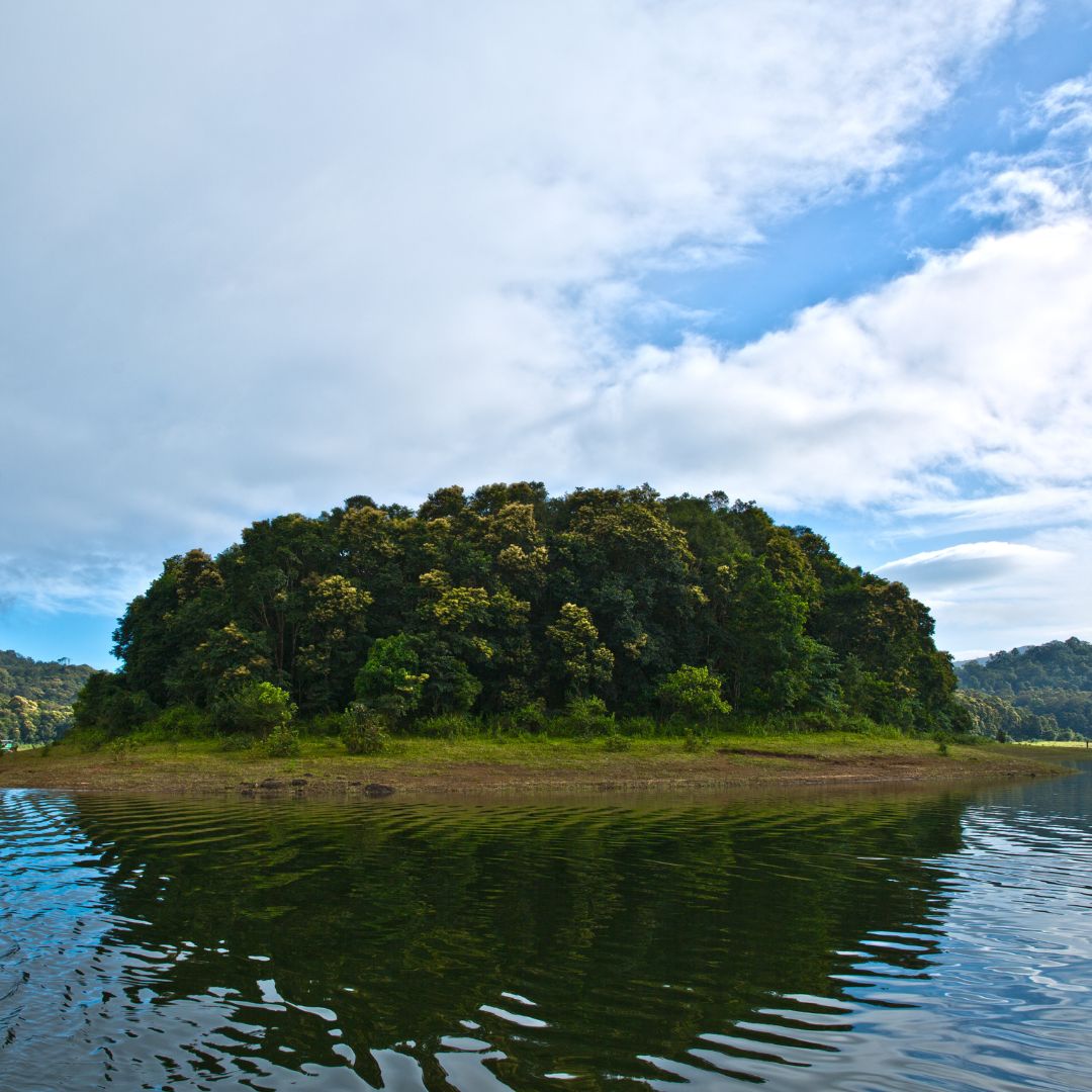 Periyar National Park