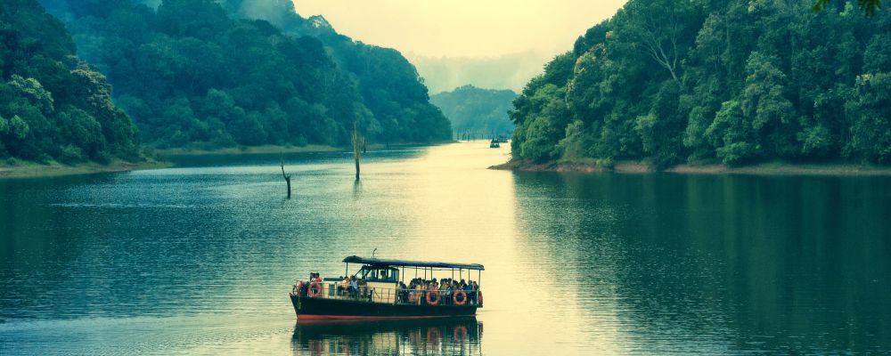 Unveiling the Wilderness - A Comprehensive Exploration of Periyar National Park
