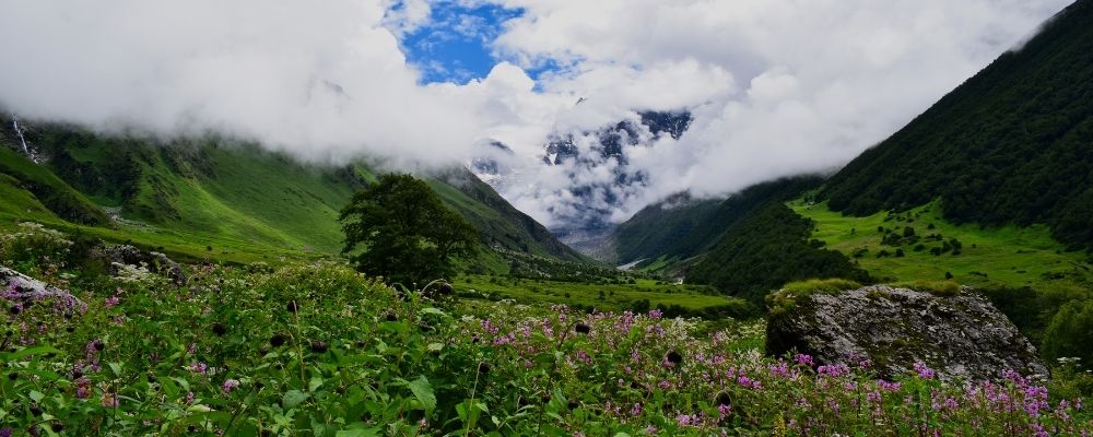 Top National Parks in the Indian Himalayan Region