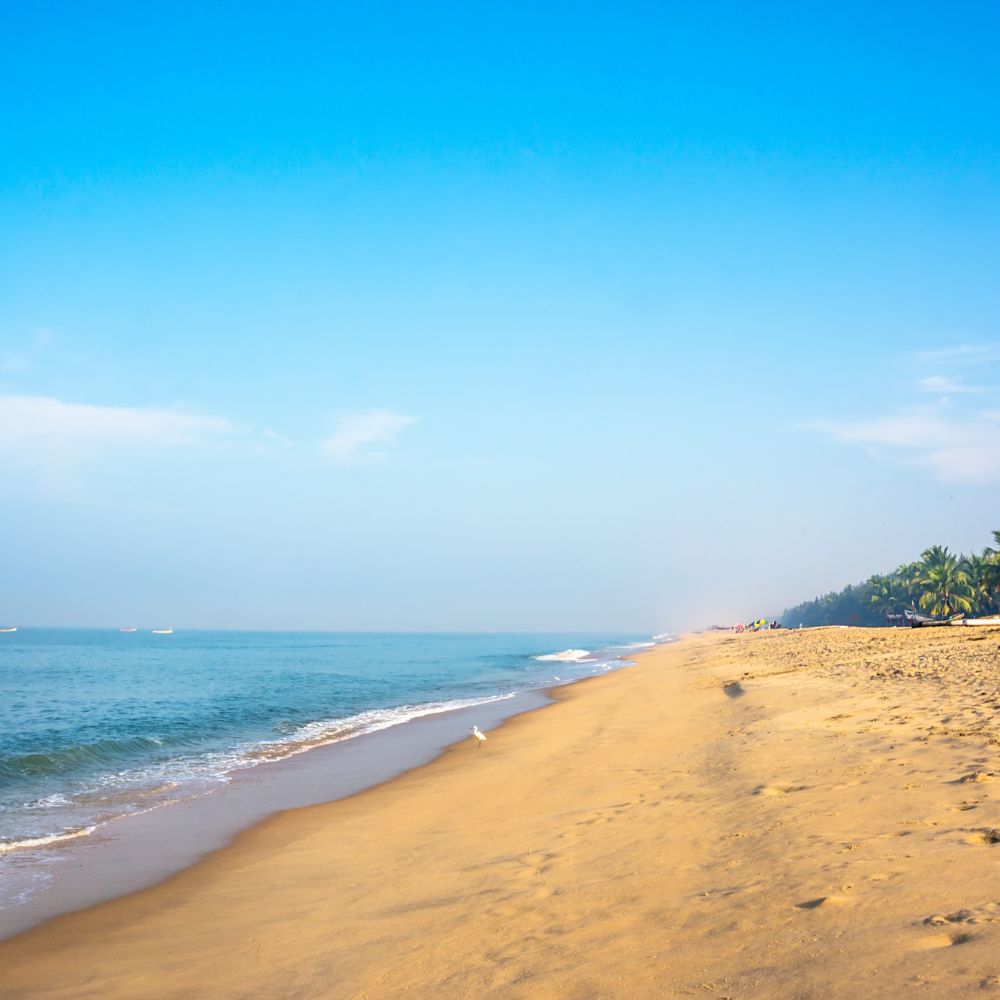 Mararikulam, Kerala