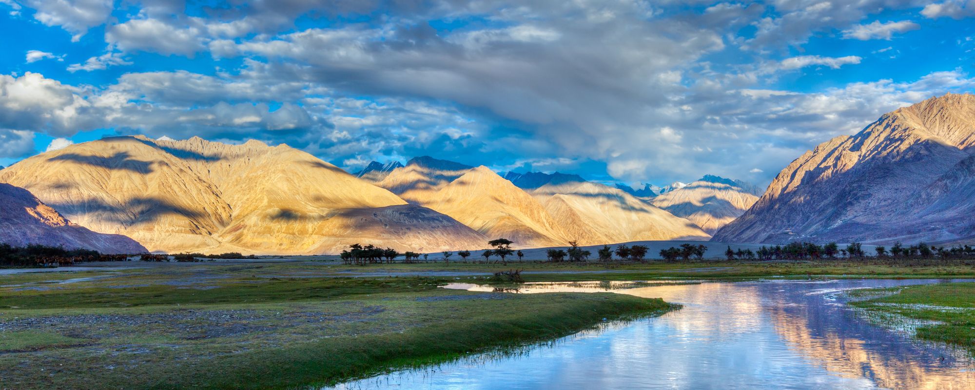 Nubra Valley: A Journey to the Peaceful Oasis in the Himalayas