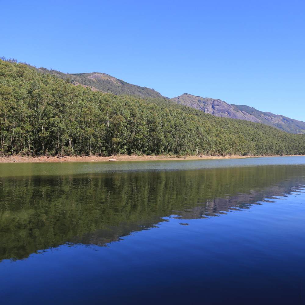 Visit to Mattupetty Dam