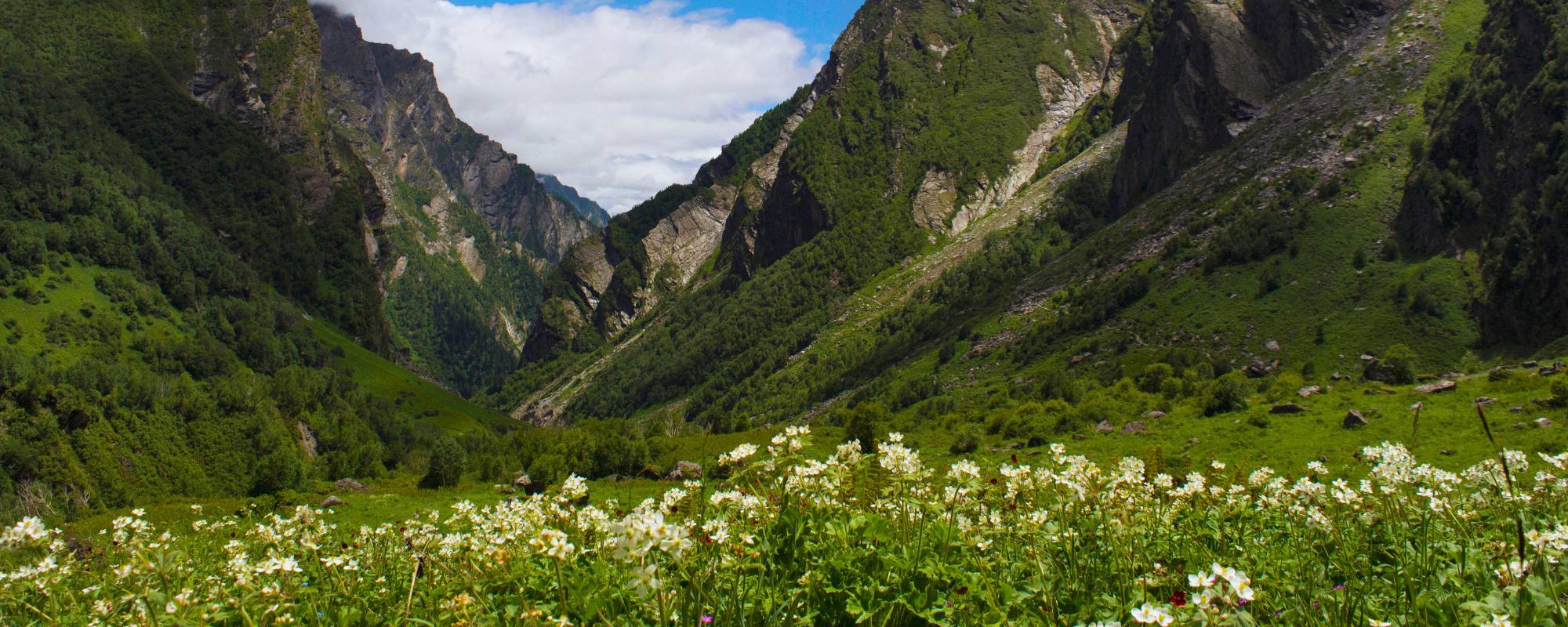 Valley of Flowers National Park – A Hidden Gem in Uttarakhand