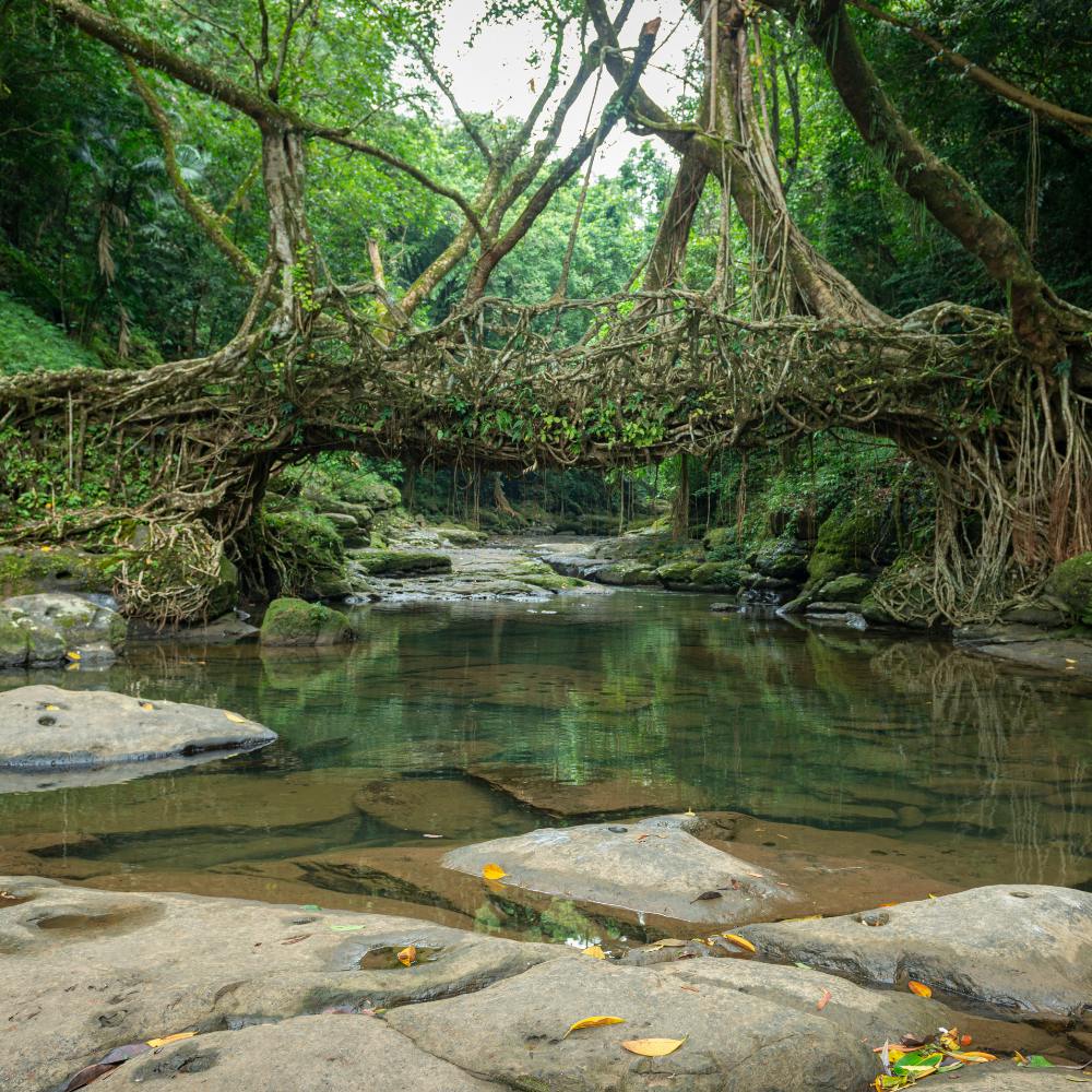 Meghalaya's Mawlynnong