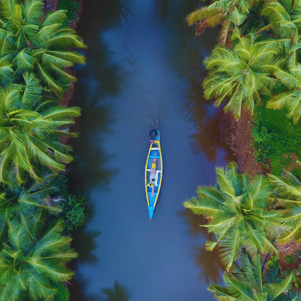 Kumarakom, Kerala: Wellness and Waterbirds in the Rain
