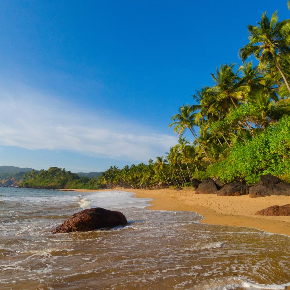 Goa: Where Sun, Sea, and Party Meet History 