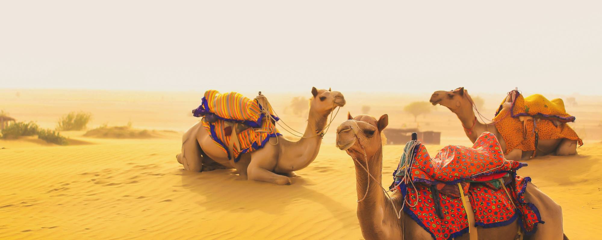 Best Places in Rajasthan for First-Time Visitors from UK