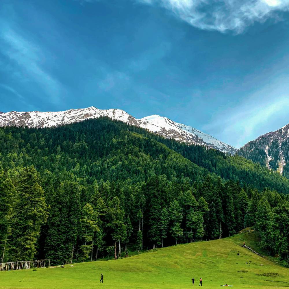 Pahalgam — The Valley of Shepherds