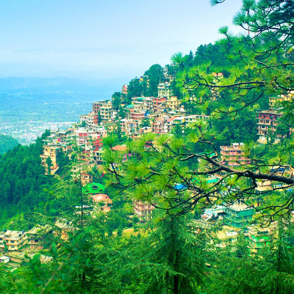 Dharamshala and McLeod Ganj - Little Lhasa of India