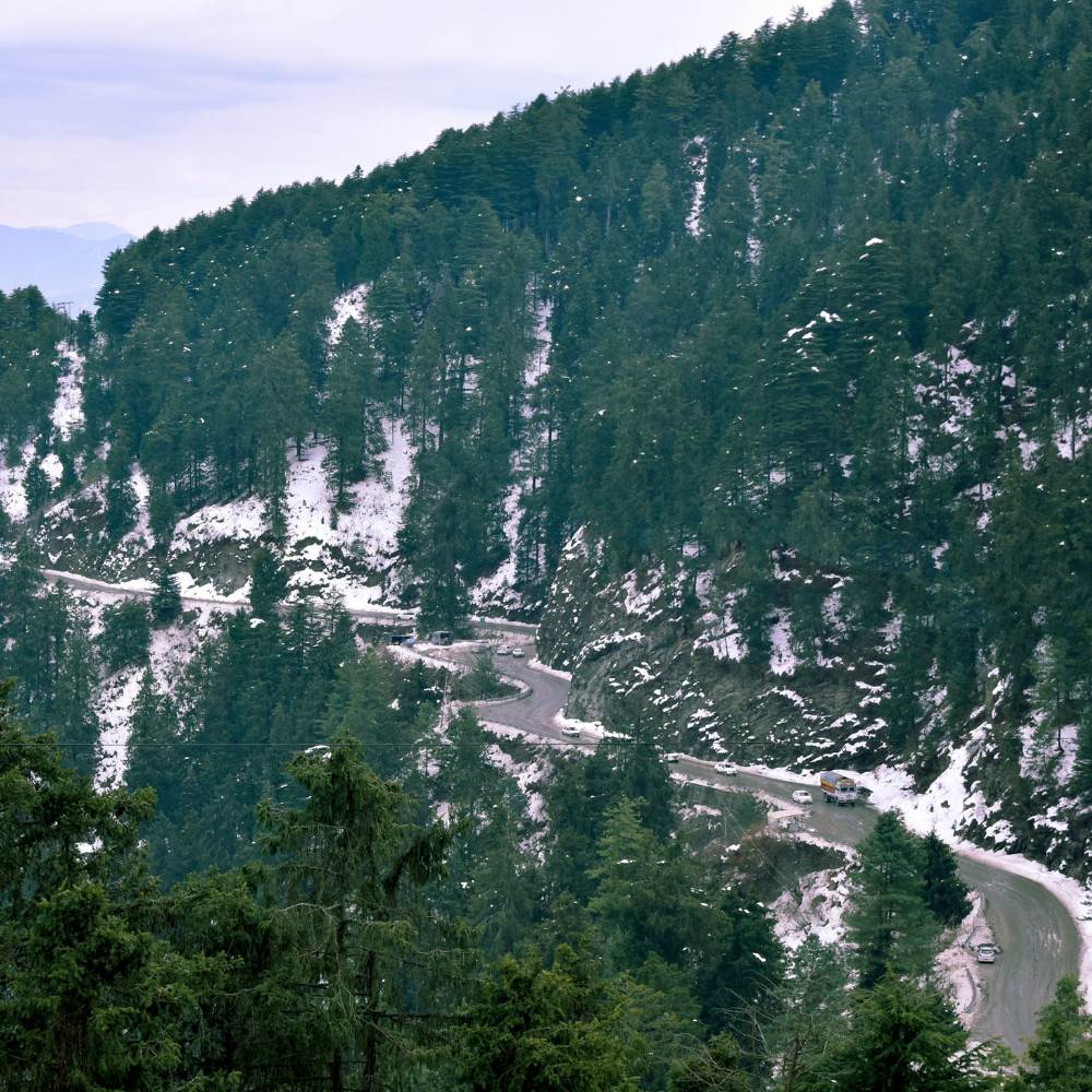 Kufri - Winter Sports and Family Fun