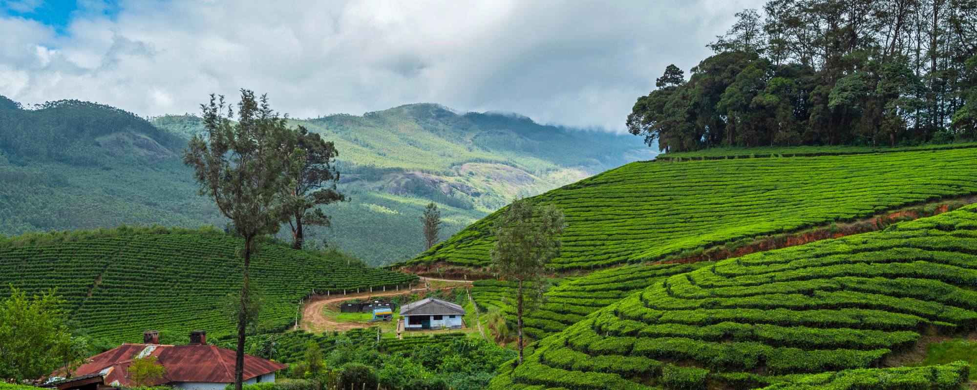 Best Places to Visit in Munnar Hill Station in 2026