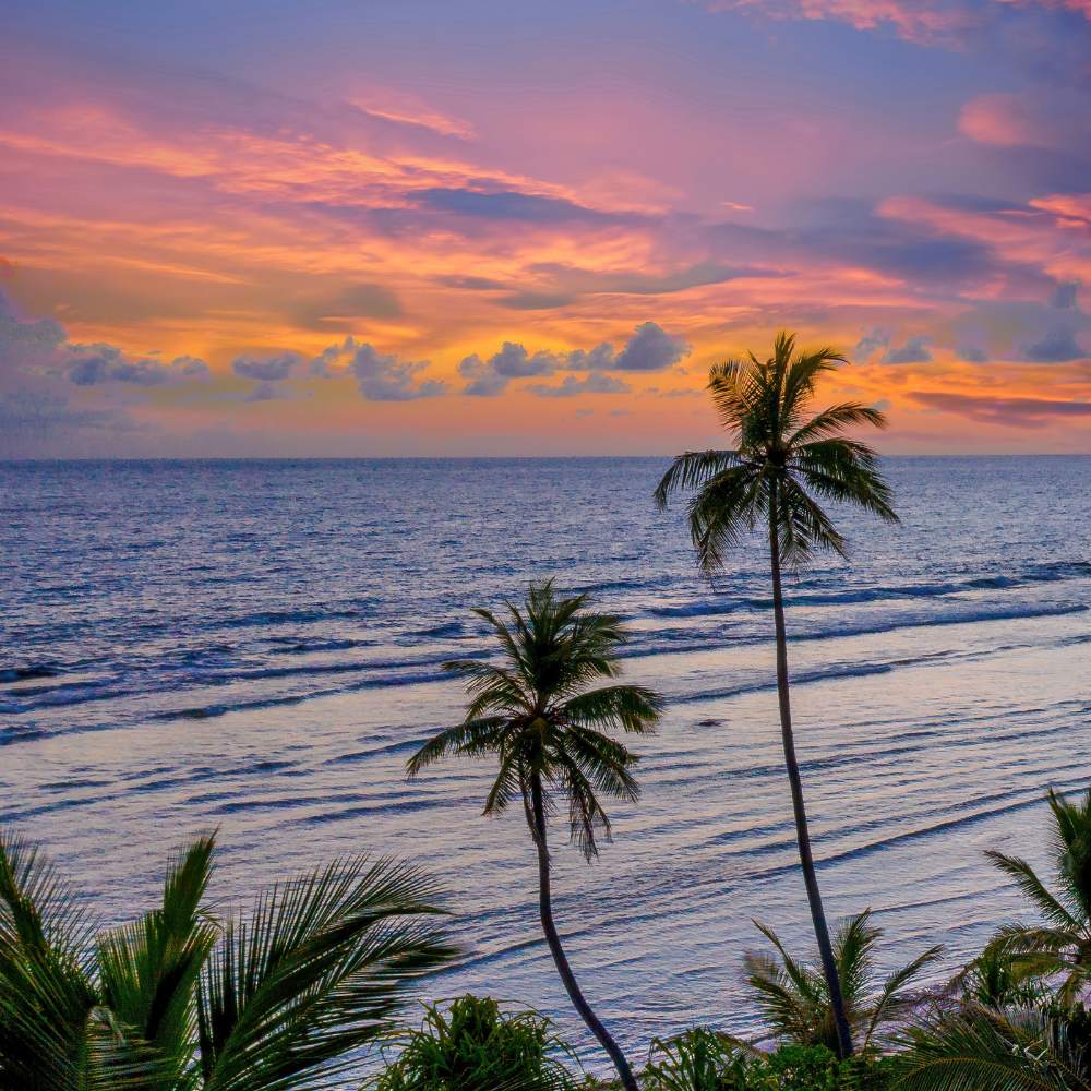 When Is the Best Time to Visit Goa