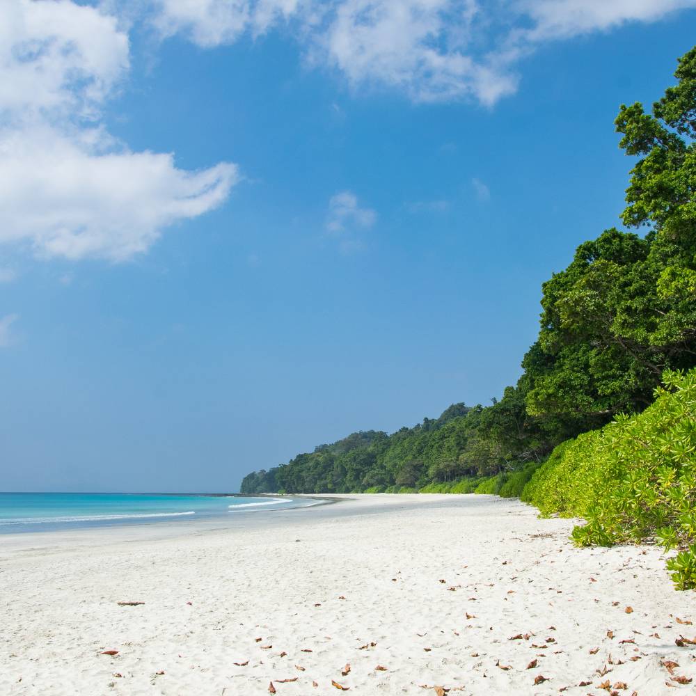 Havelock Island (Swaraj Dweep)