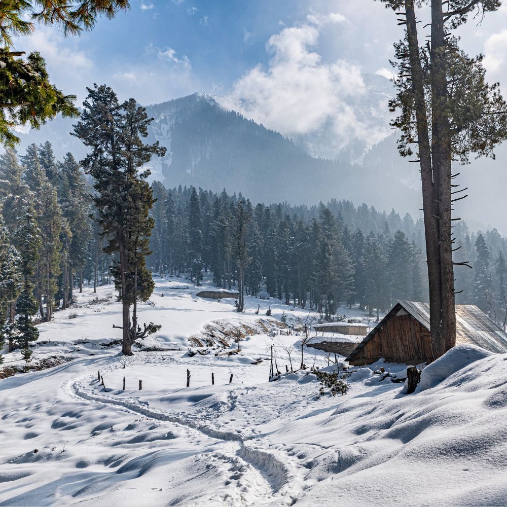 Kashmir in winter