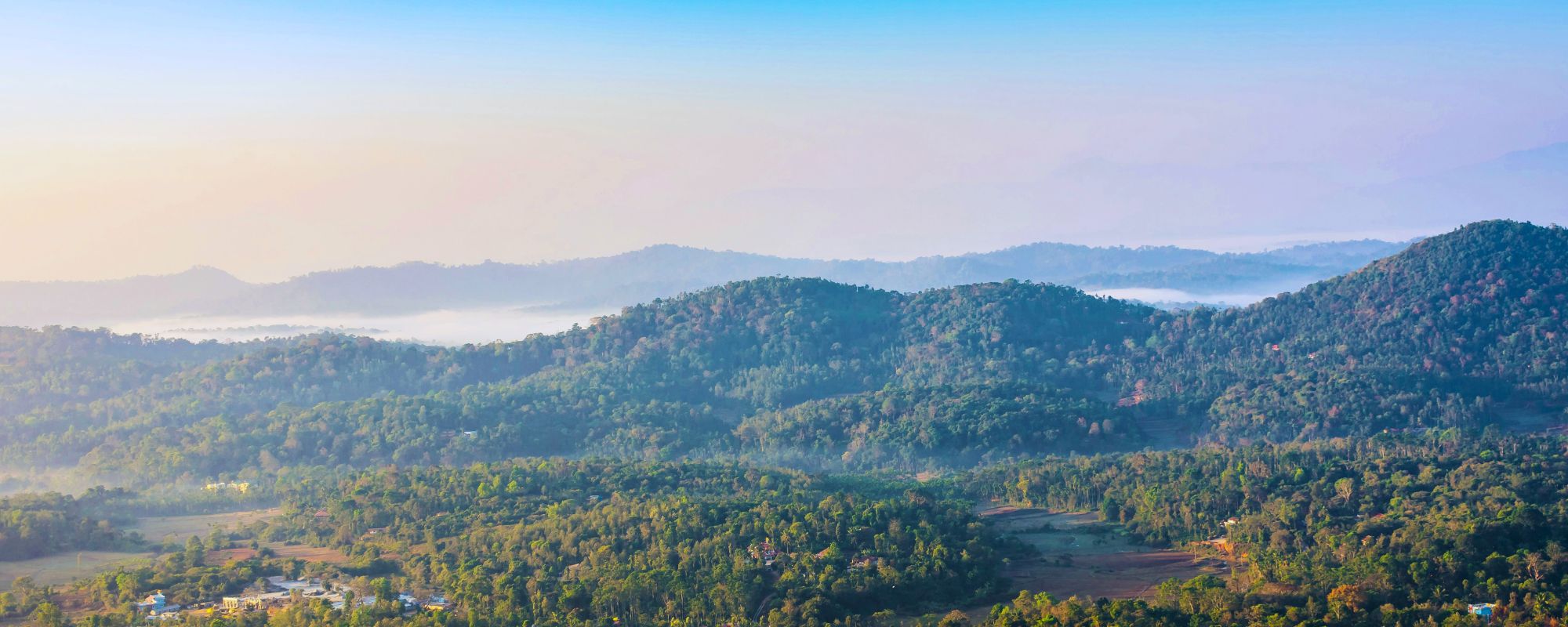 Coorg: A Luxury Guide to India's Coffee Country