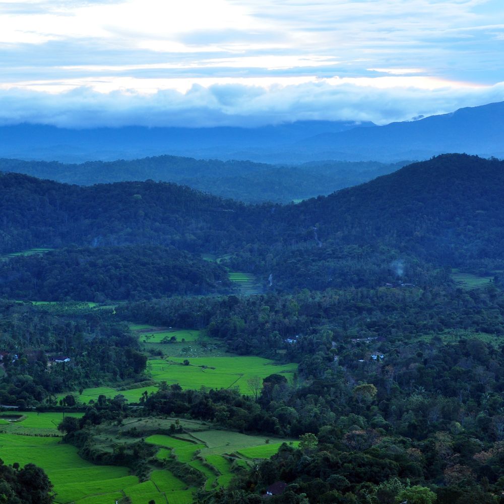 How to reach Coorg