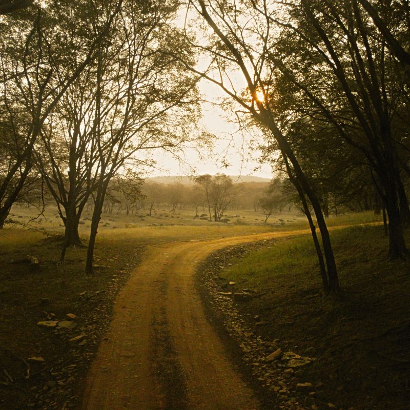 Safari Route