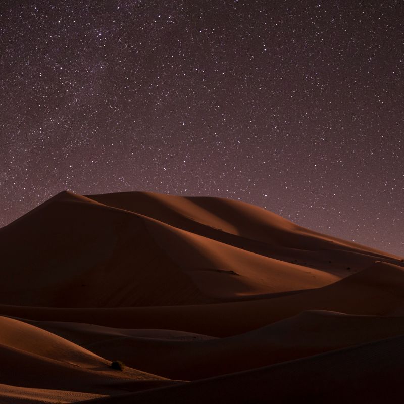 Thar Desert Night Skyline
