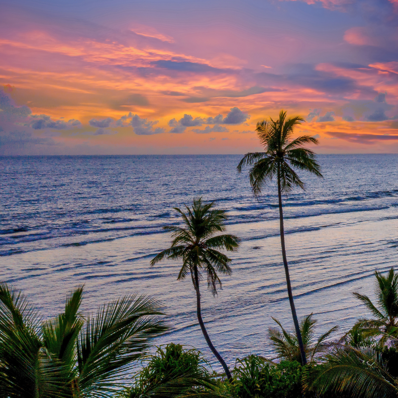 Beach Sunset Goa