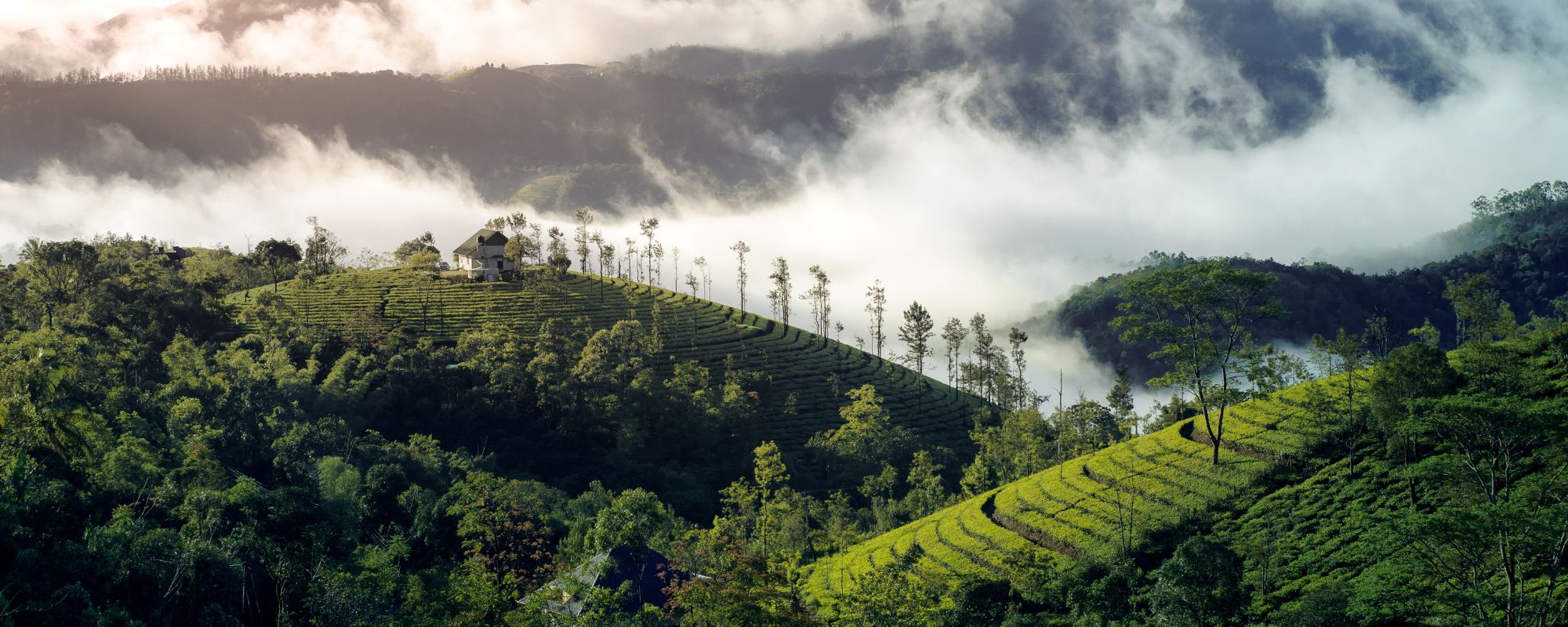 Escaping the Nordic Winter: India from Late November to February for Swedish, Norwegian and Danish Travellers