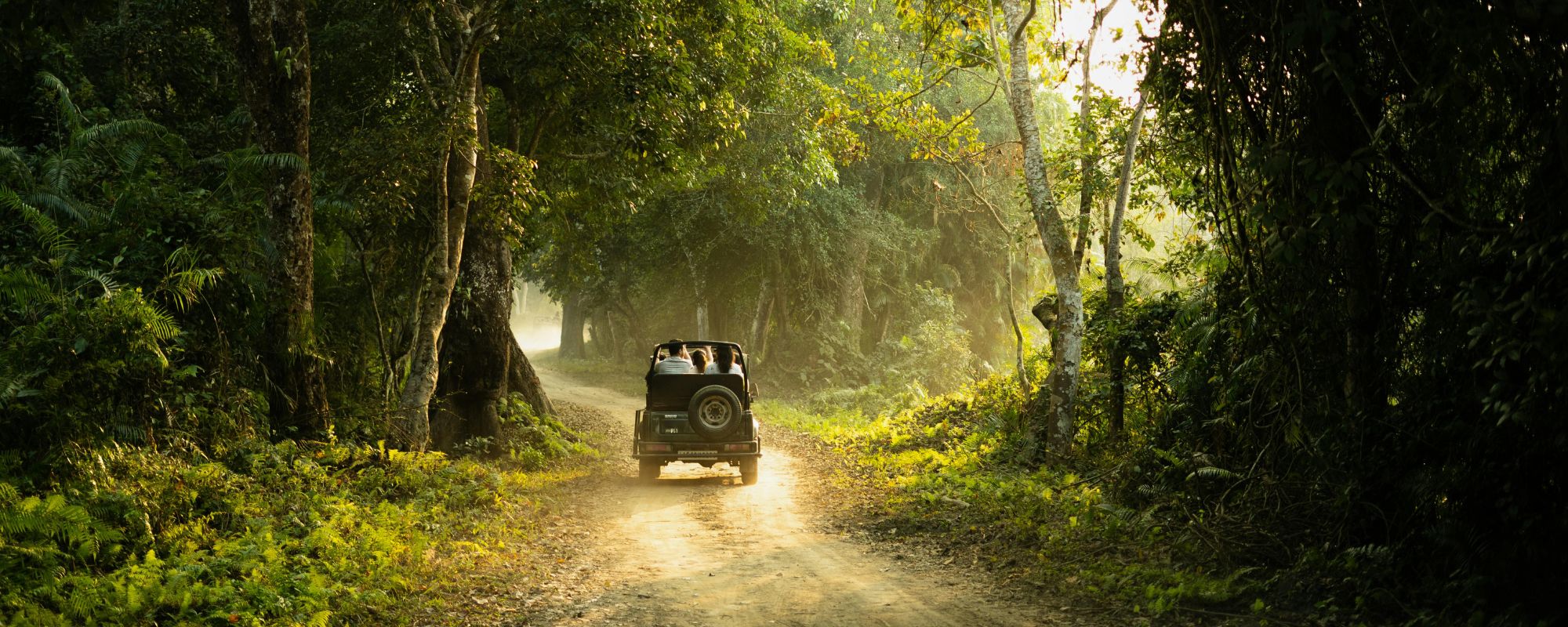 How to Combine a Tiger Safari with a Golden Triangle Tour