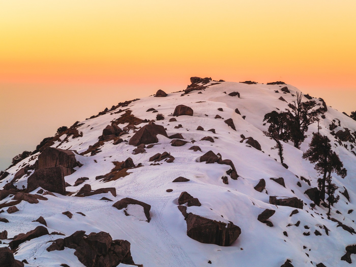 banner3348