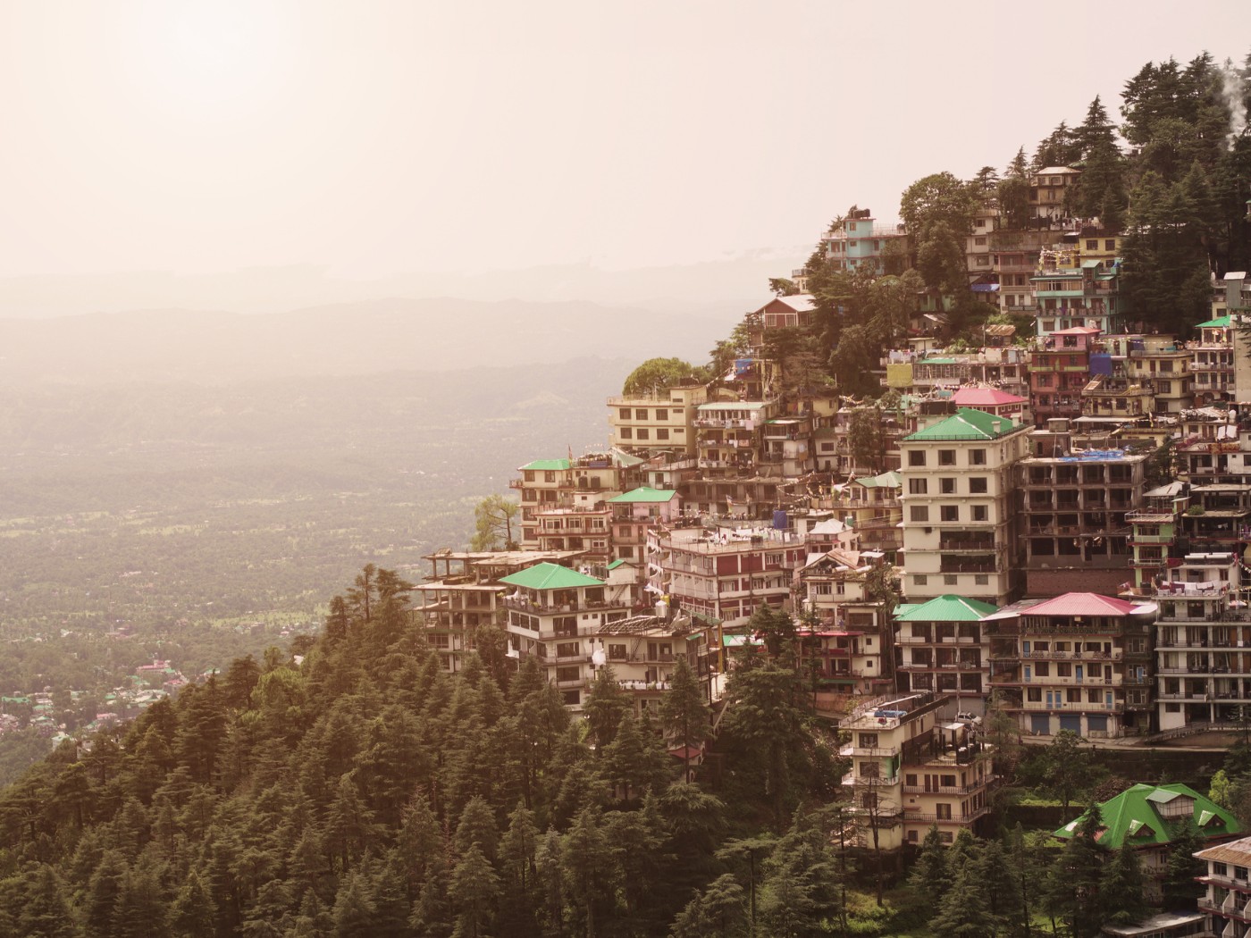 banner3352