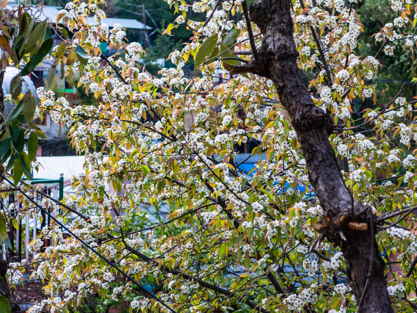 banner3355