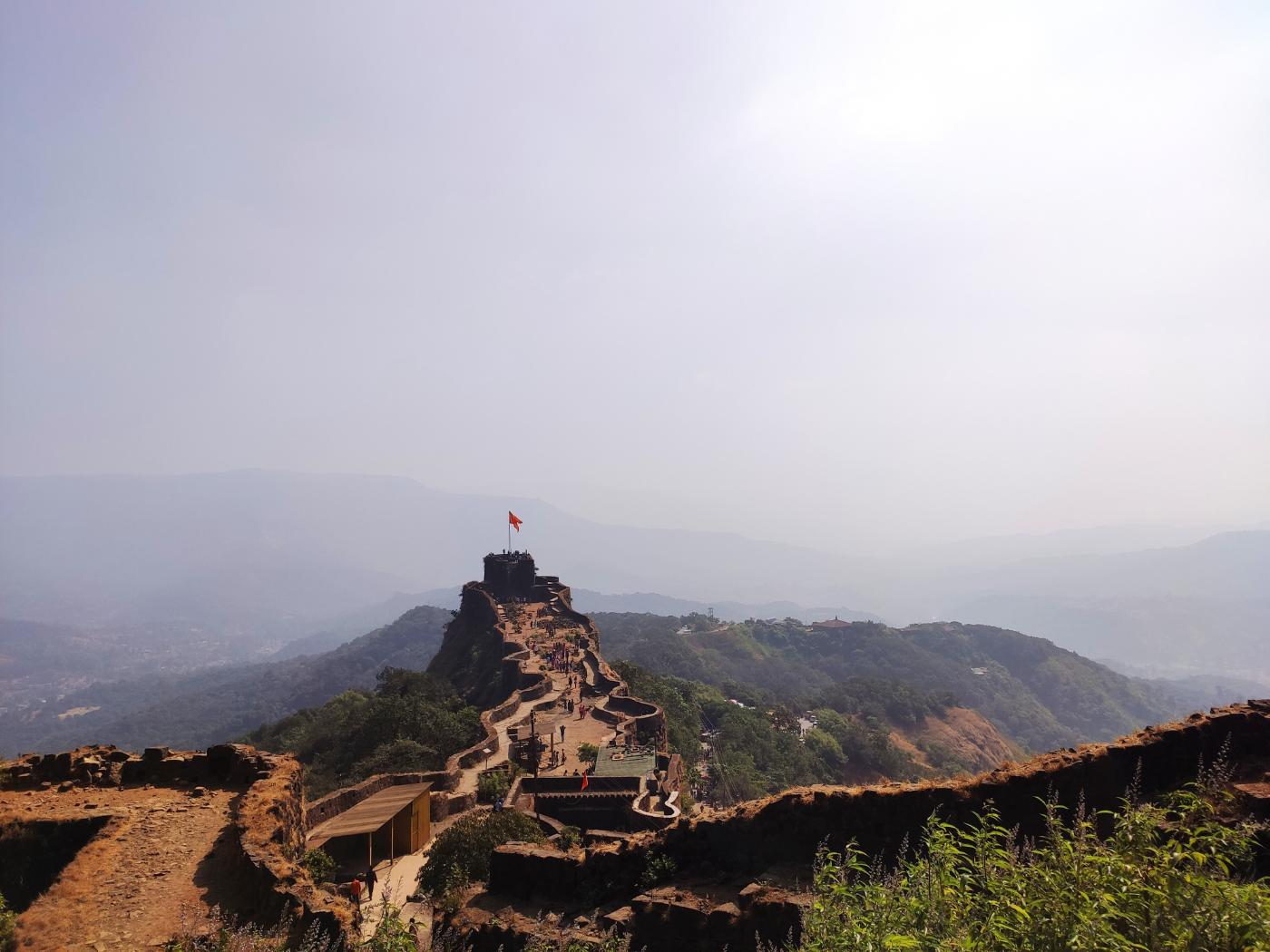 banner3531