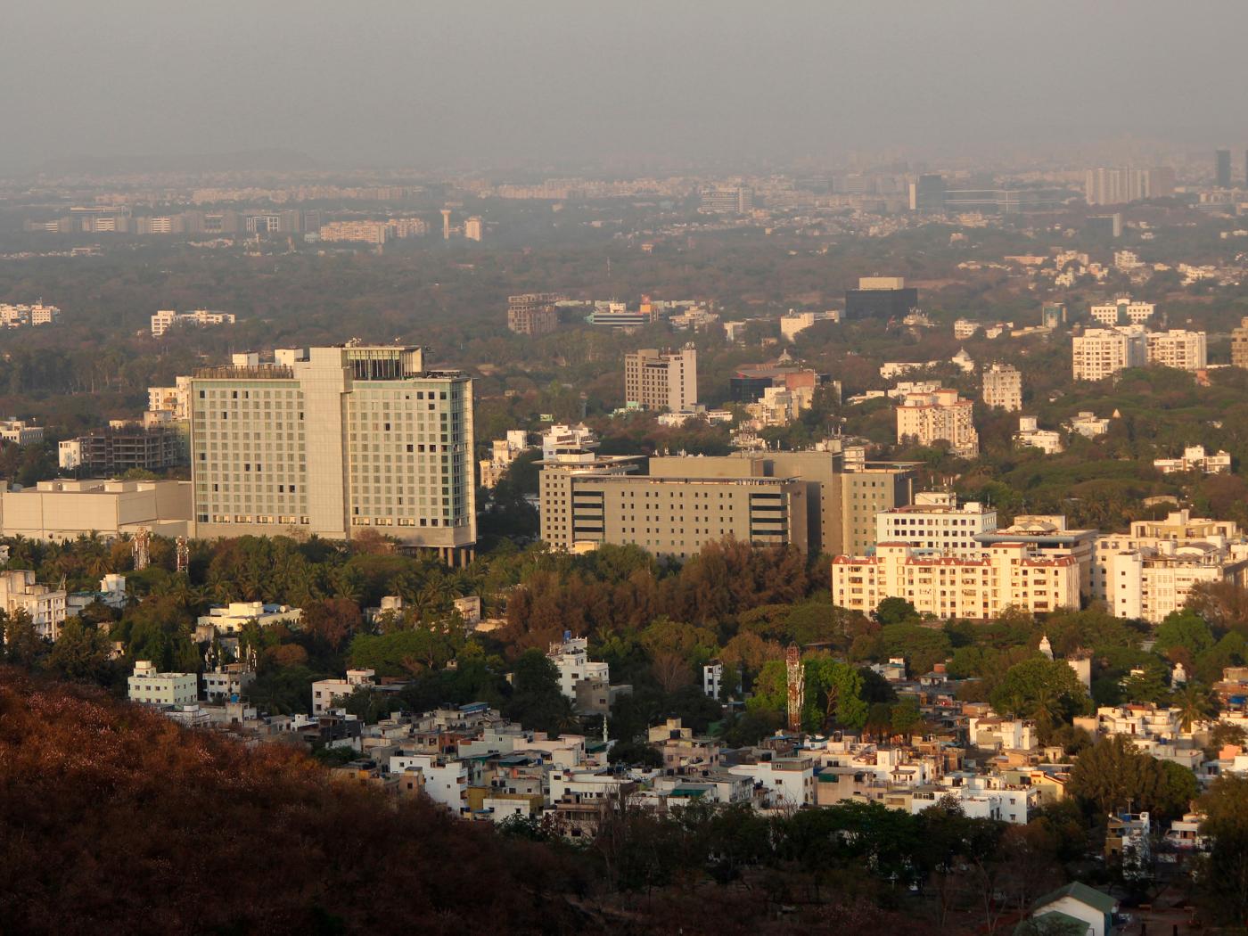 banner3532