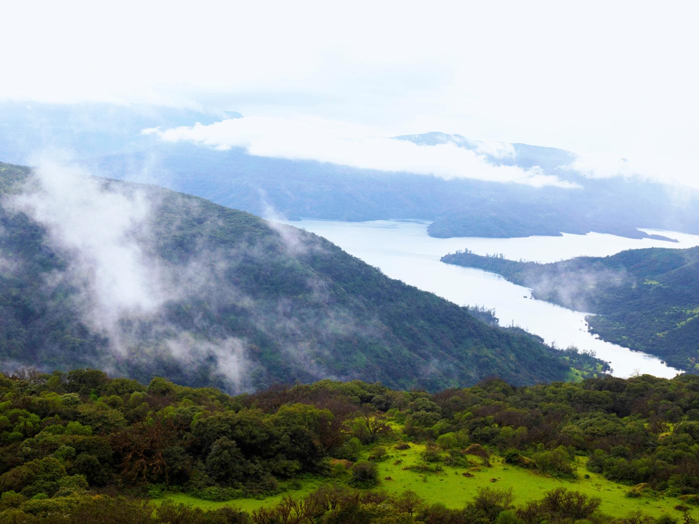banner3534