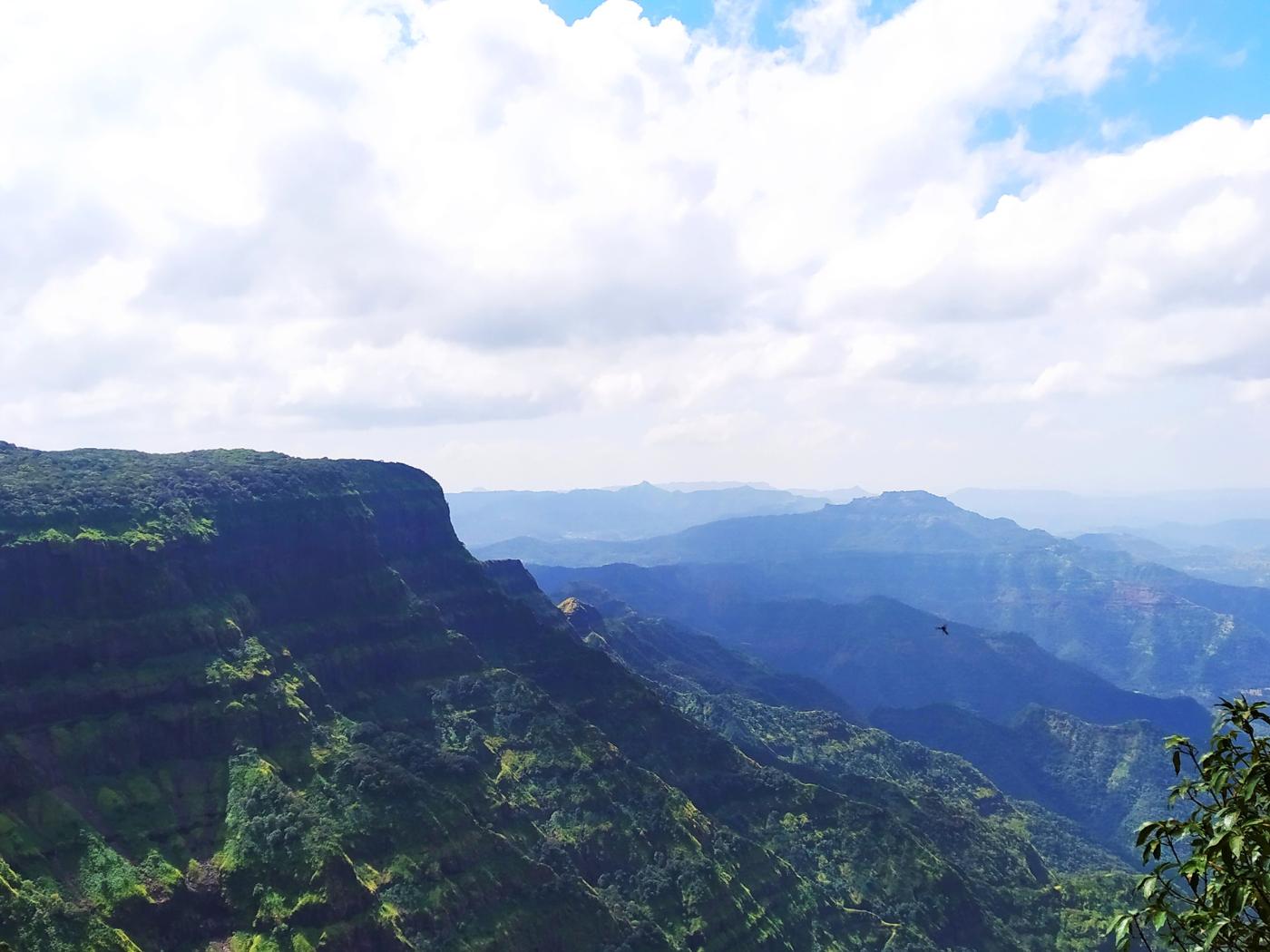 banner3538