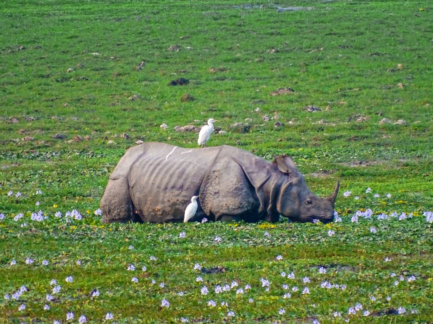 banner24160