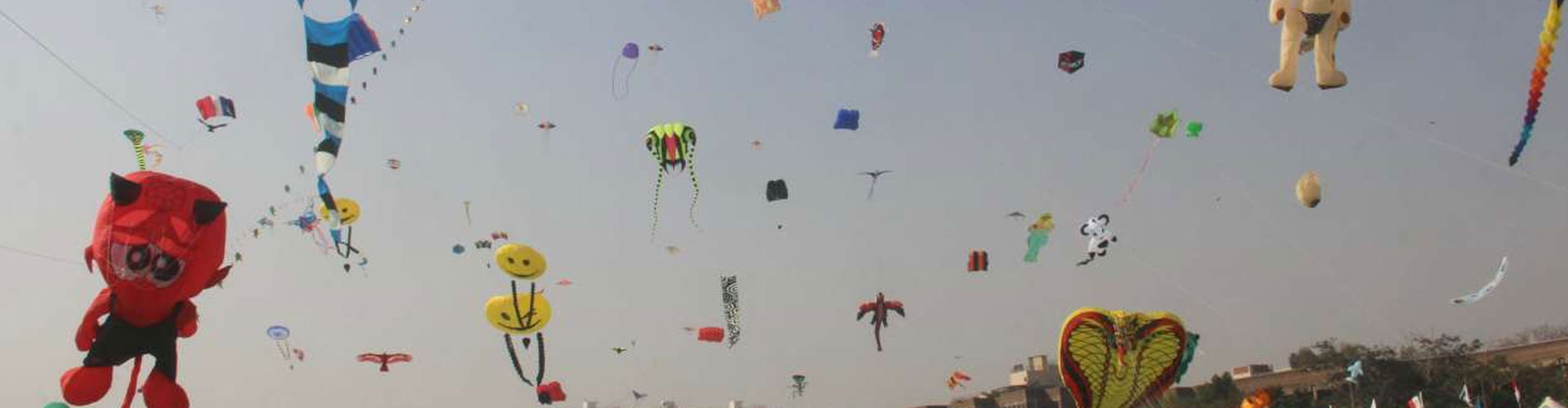 Gujarat Kite Festival